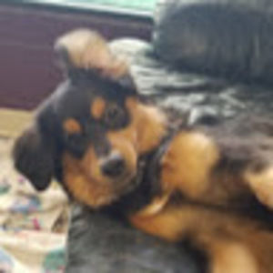 Meet your Posher, Patricia